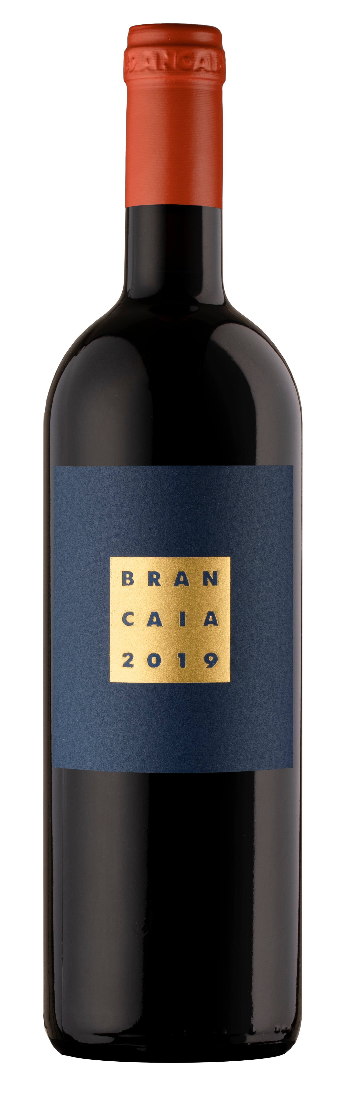 BRANCAIA IL BLU