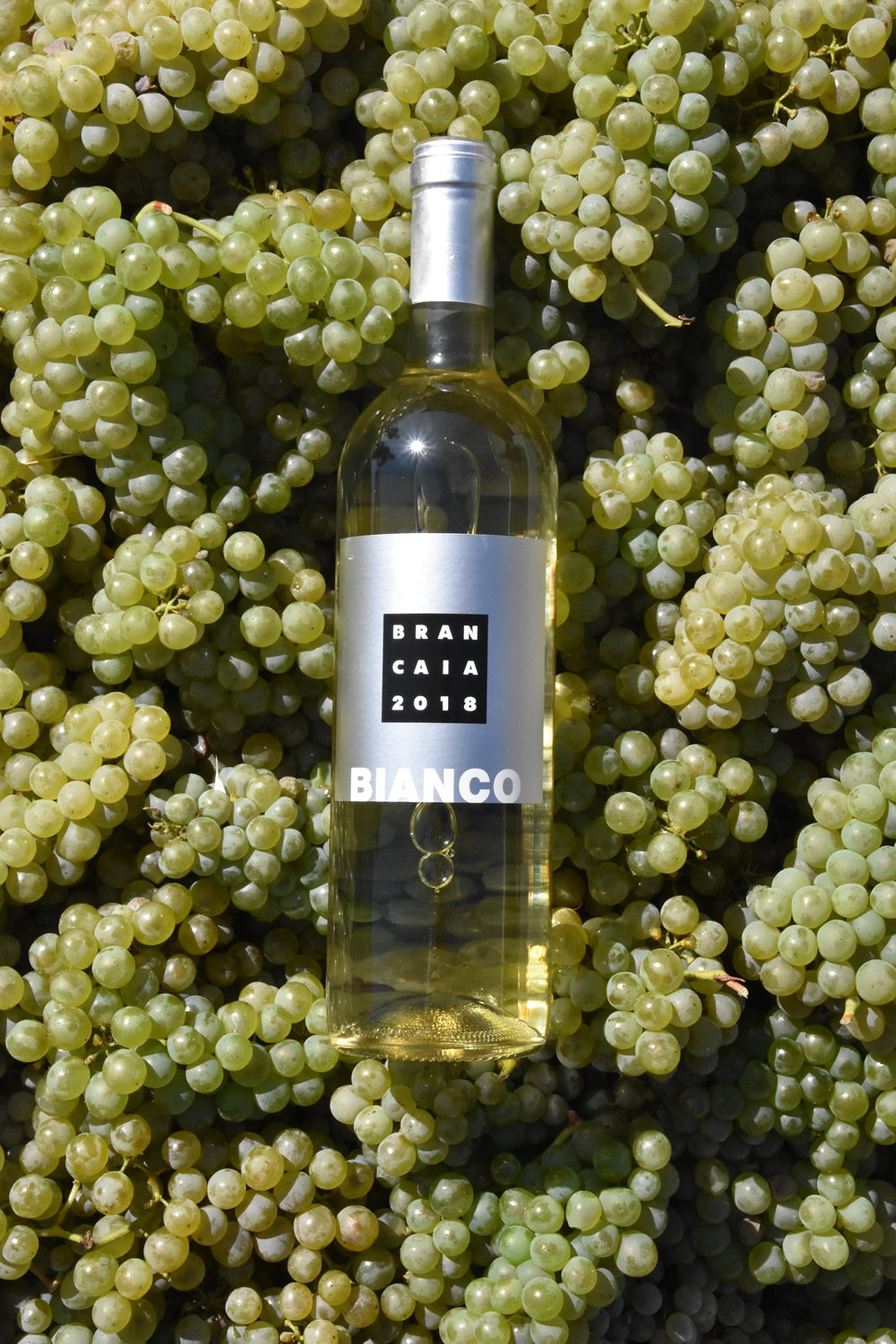 BRANCAIA IL BIANCO