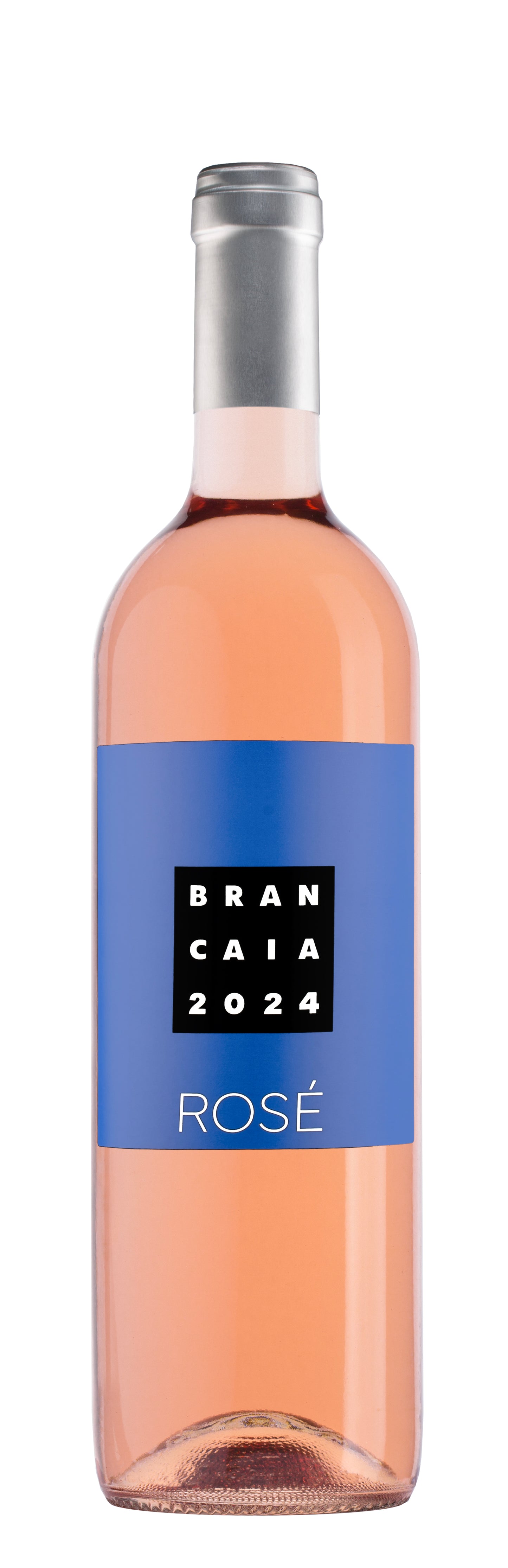 BRANCAIA ROSE'