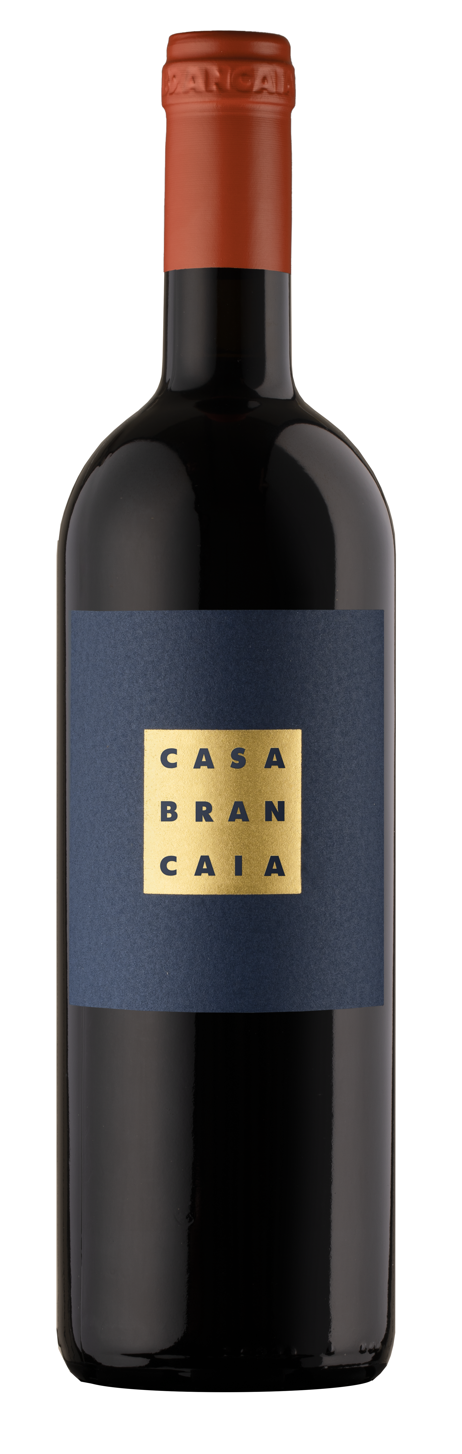 BRANCAIA IL BLU – Brancaia Shop